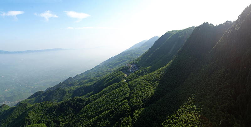 永川茶山竹海
